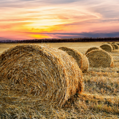 Comment sauvegarder votre patrimoine agricole lors d’un divorce ? 